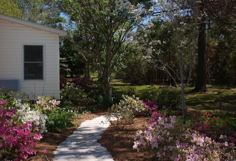 Отель The White House On Freedom Way