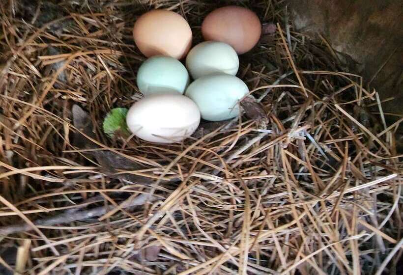 Отель The White House On Freedom Way