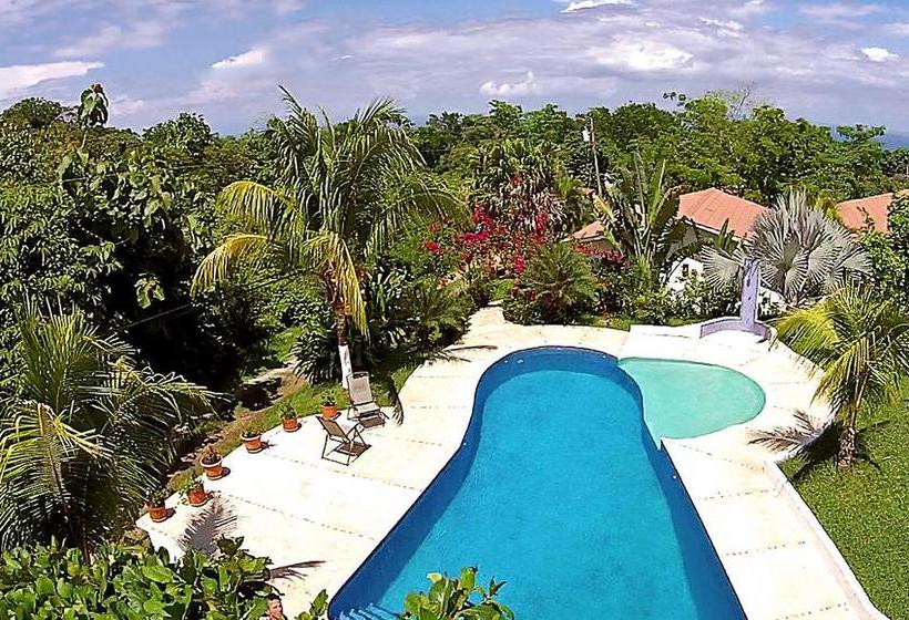 فندق Three Monkeys