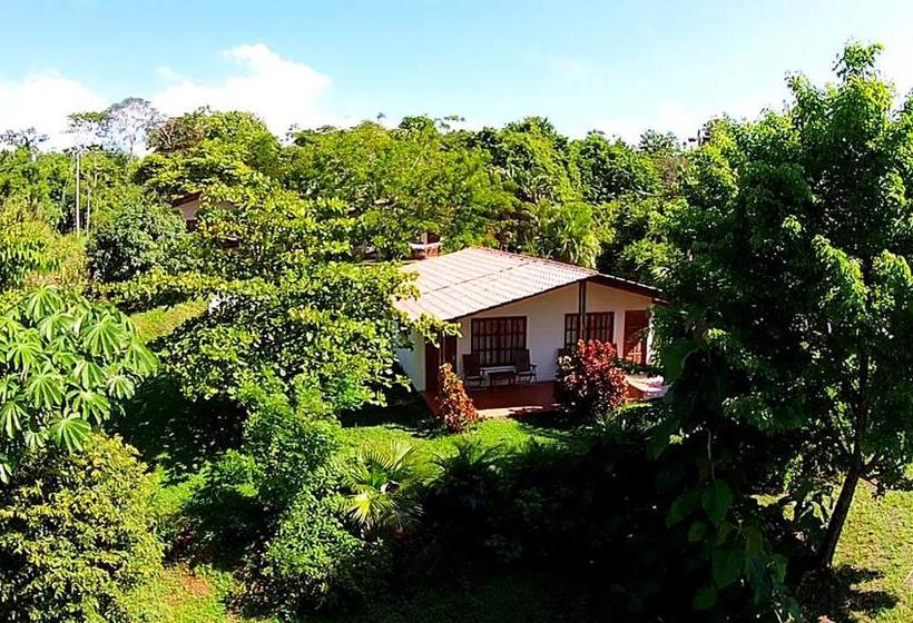 فندق Three Monkeys