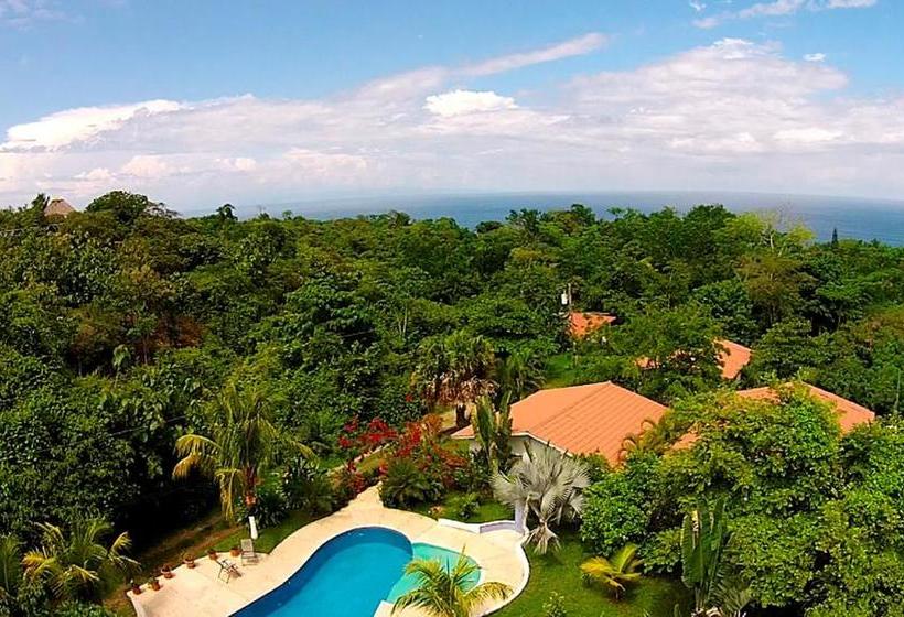 فندق Three Monkeys