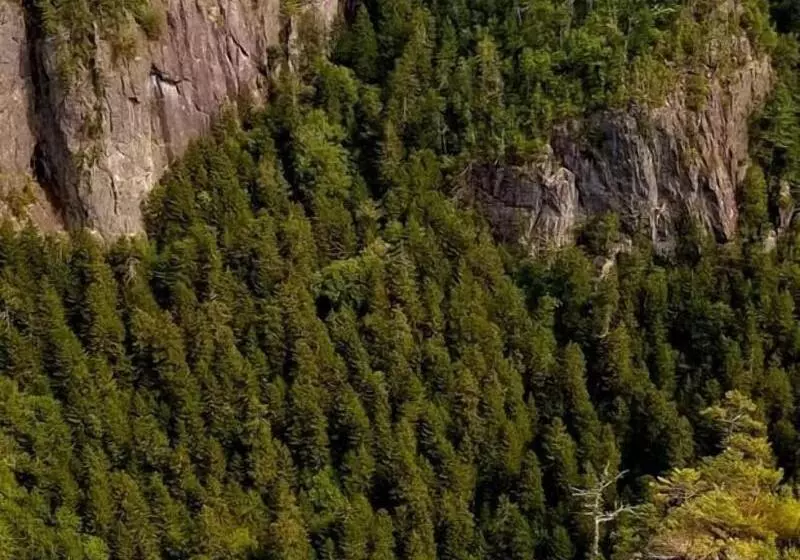 ホテル Tidal Watch Inn