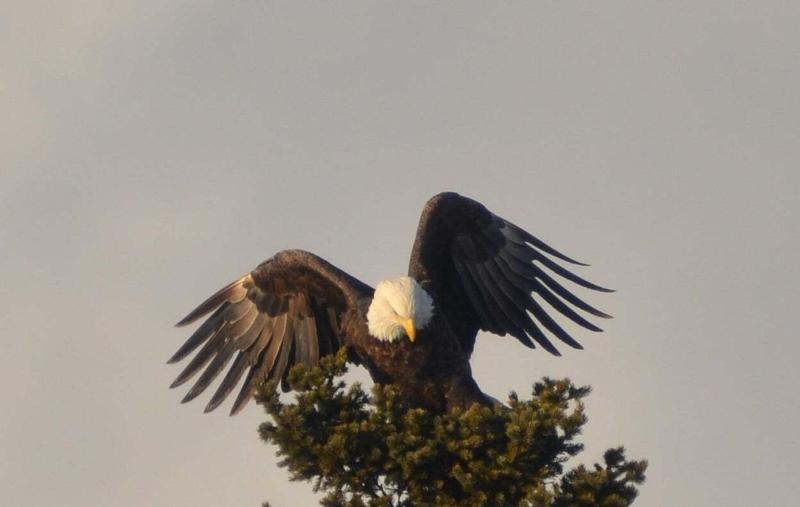 Hotel Tidal Watch Inn