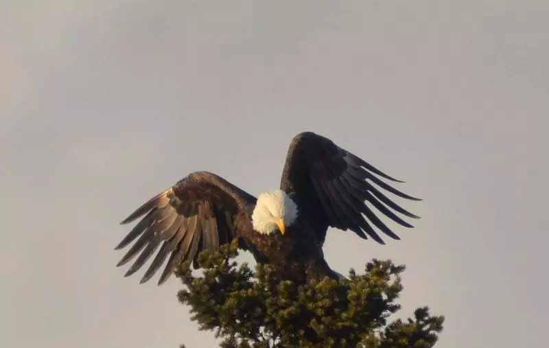 ホテル Tidal Watch Inn