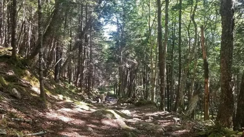 ホテル Tidal Watch Inn