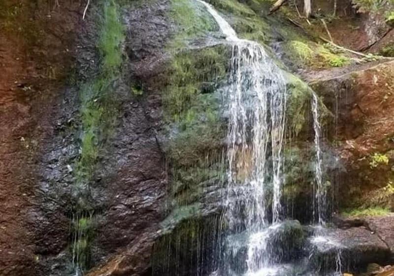 Hotel Tidal Watch Inn