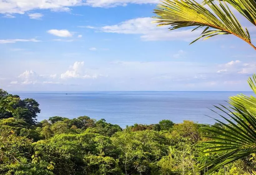 ホテル Tiki Villas Rainforest Lodge & Spa