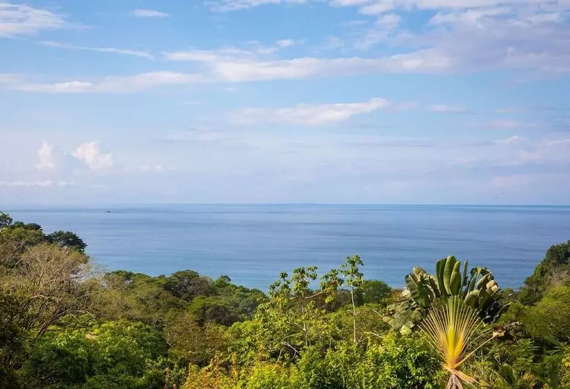 ホテル Tiki Villas Rainforest Lodge & Spa