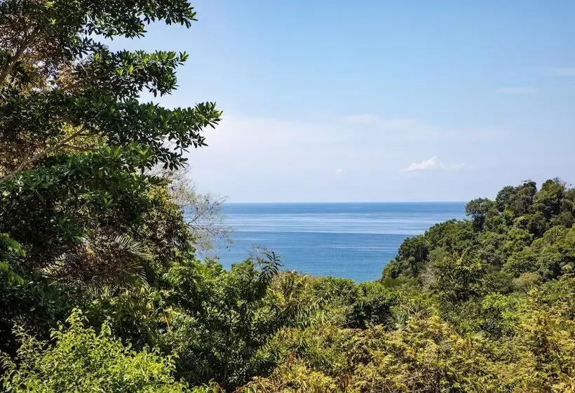 ホテル Tiki Villas Rainforest Lodge & Spa