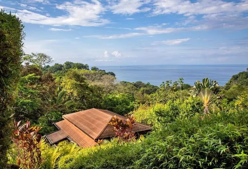ホテル Tiki Villas Rainforest Lodge & Spa