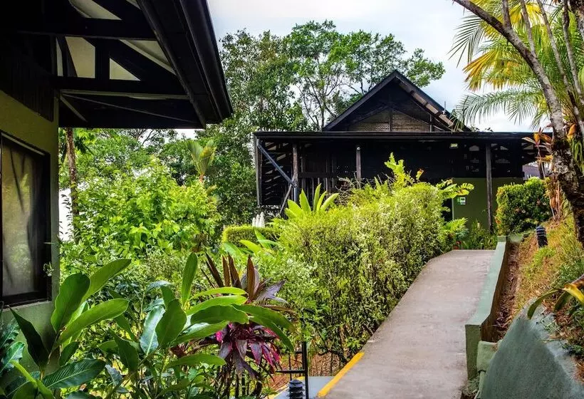 ホテル Tiki Villas Rainforest Lodge & Spa