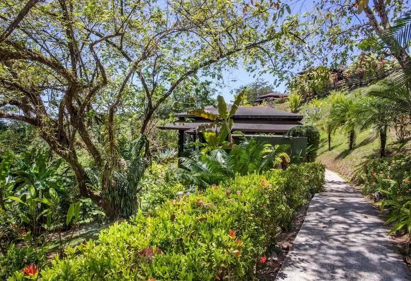 ホテル Tiki Villas Rainforest Lodge & Spa
