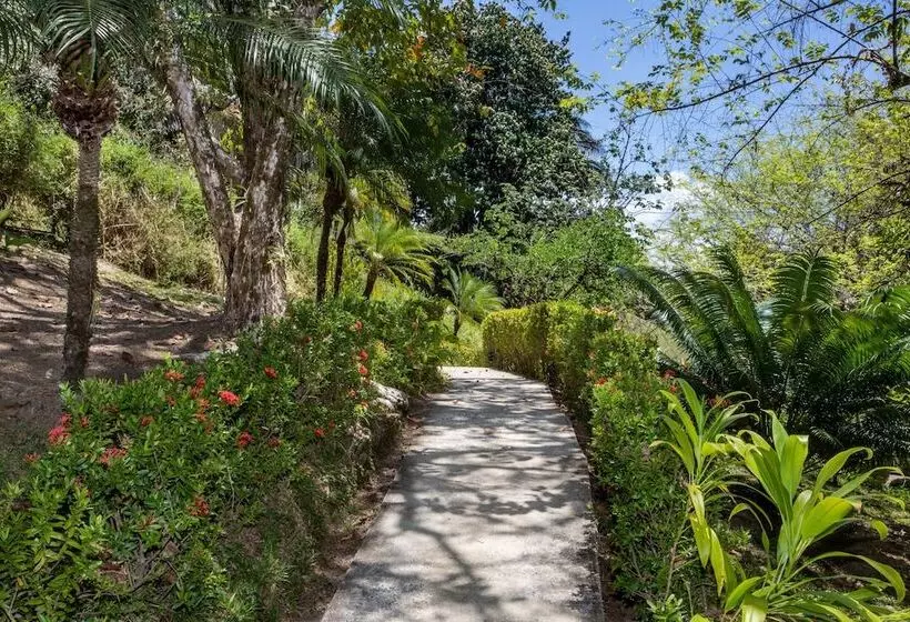 ホテル Tiki Villas Rainforest Lodge & Spa