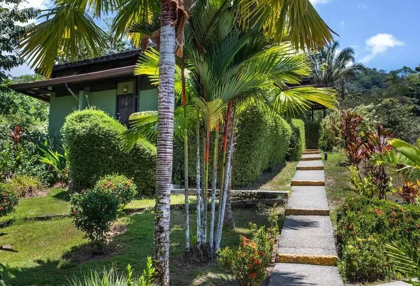ホテル Tiki Villas Rainforest Lodge & Spa