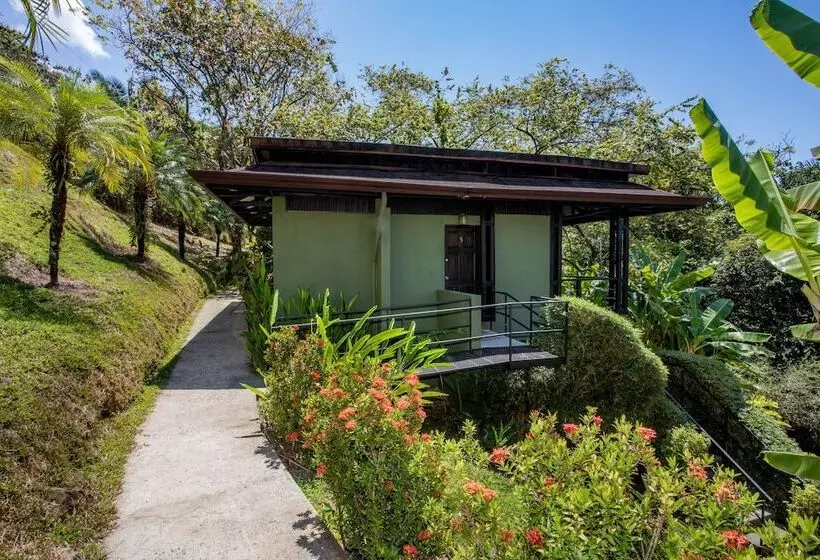 ホテル Tiki Villas Rainforest Lodge & Spa