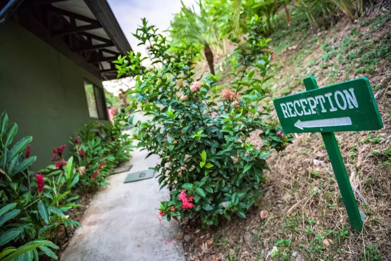 ホテル Tiki Villas Rainforest Lodge & Spa