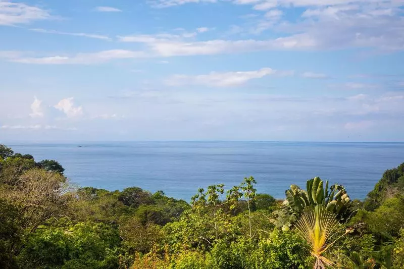 ホテル Tiki Villas Rainforest Lodge & Spa