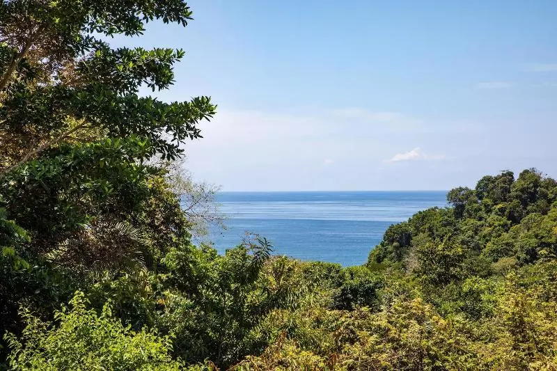 ホテル Tiki Villas Rainforest Lodge & Spa