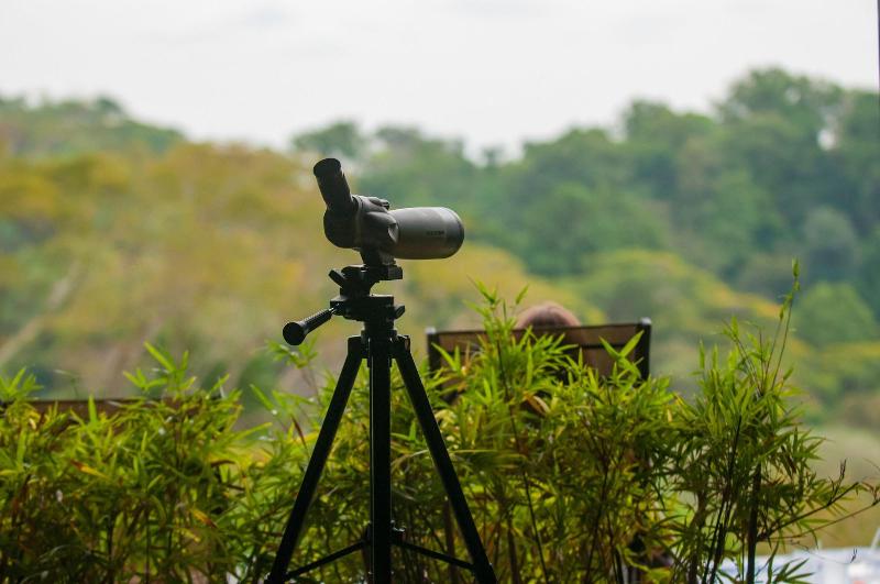 فندق Tiki Villas Rainforest Lodge & Spa