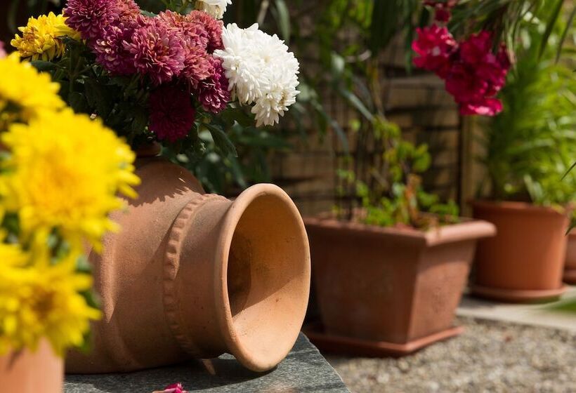 Hotel Tuniberg Restaurant