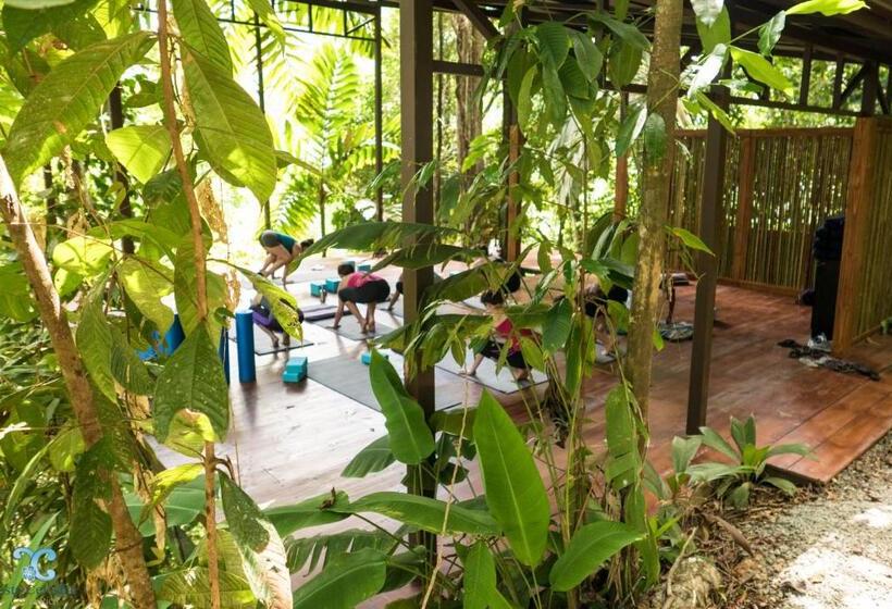 בית מלון כפרי Vista Celestial