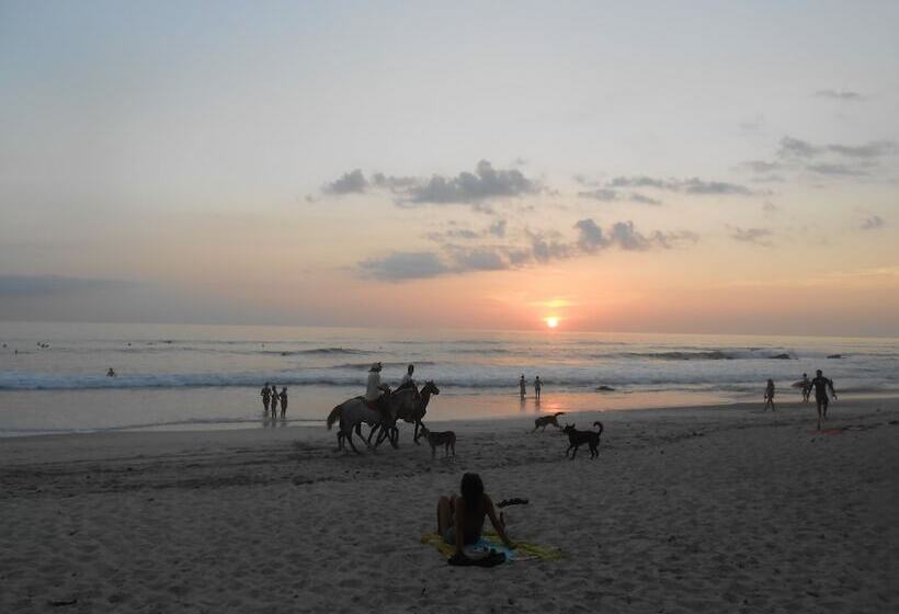 فندق Zula Inn Apart