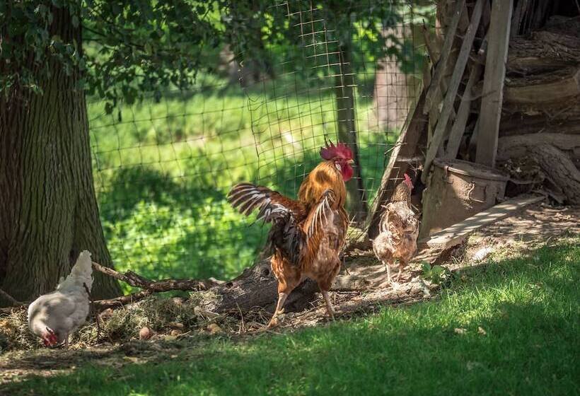 Landhotel Zur Guten Einkehr