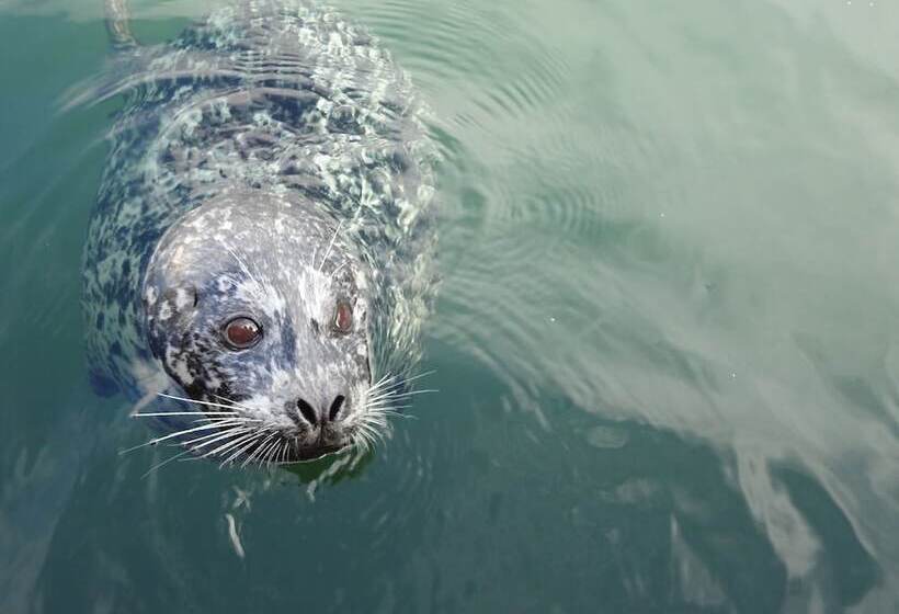 בית מלון כפרי A Float Home B&b In Fisherman’s Wharf