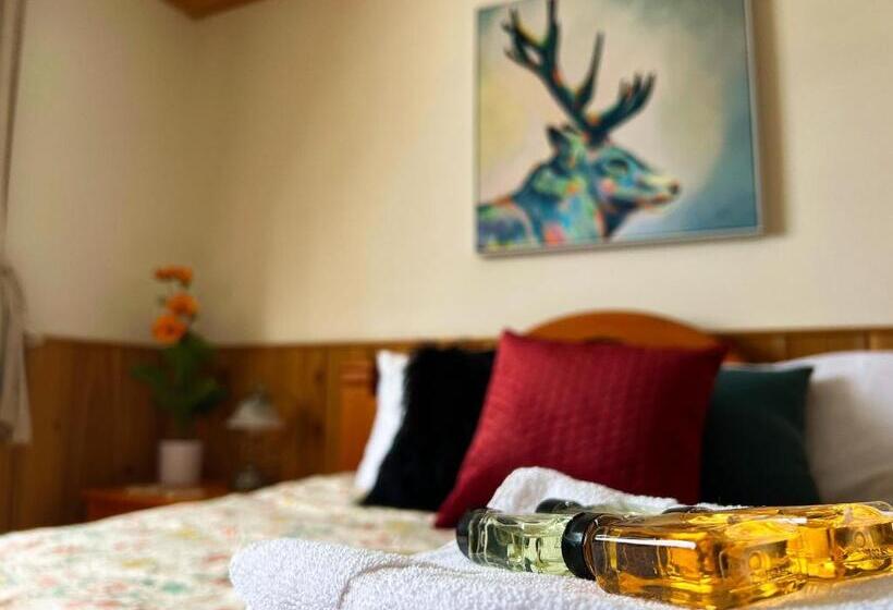 Отель Auberge Au Poste De Traite