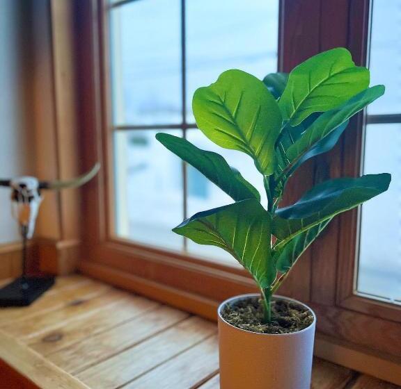 Отель Auberge Au Poste De Traite