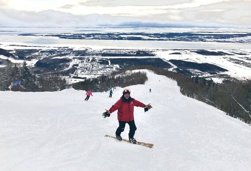 Отель Auberge Du Sault à La Puce