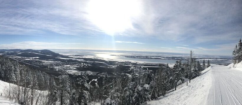 Отель Auberge Du Sault à La Puce
