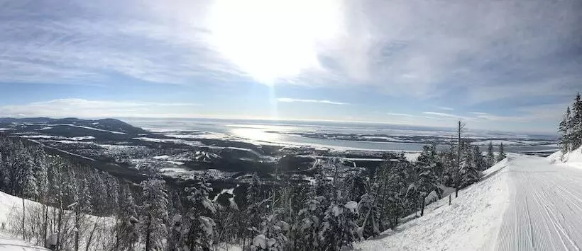 ホテル Auberge Du Sault à La Puce