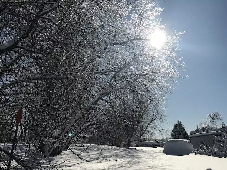 ホテル Auberge Du Sault à La Puce