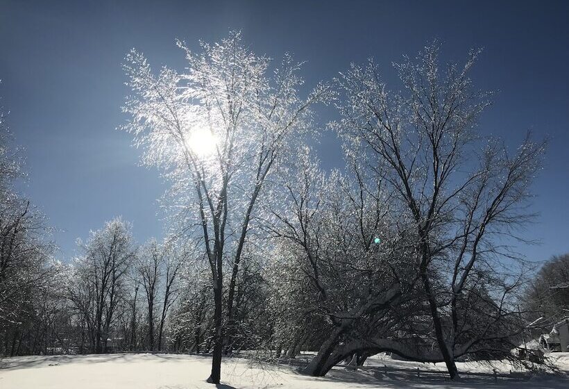 Отель Auberge Du Sault à La Puce