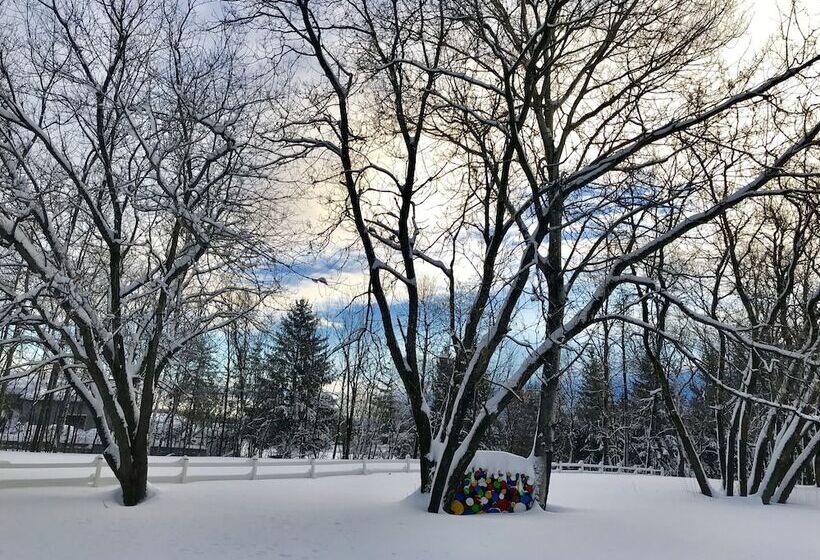 Отель Auberge Du Sault à La Puce