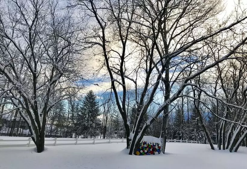ホテル Auberge Du Sault à La Puce