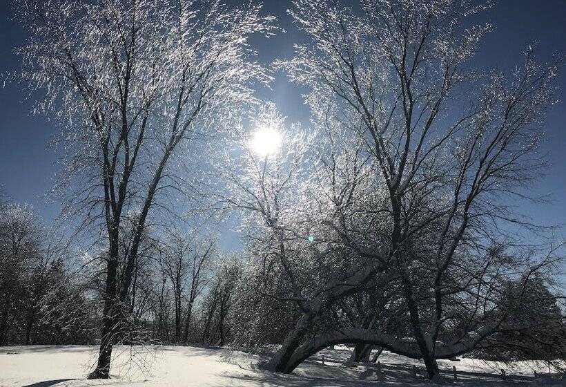 Отель Auberge Du Sault à La Puce