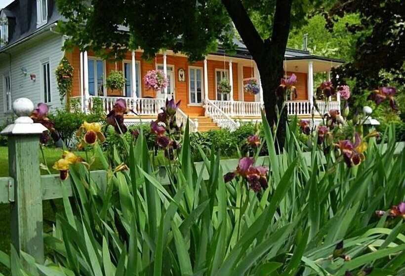 Отель Auberge Du Sault à La Puce