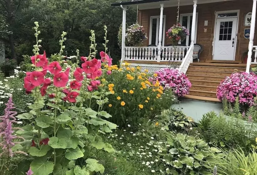 ホテル Auberge Du Sault à La Puce