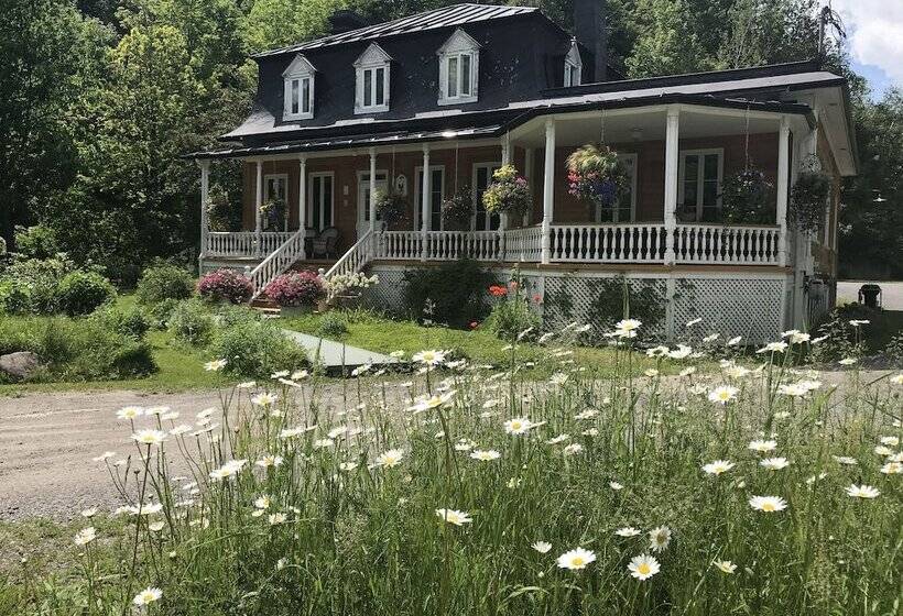Отель Auberge Du Sault à La Puce