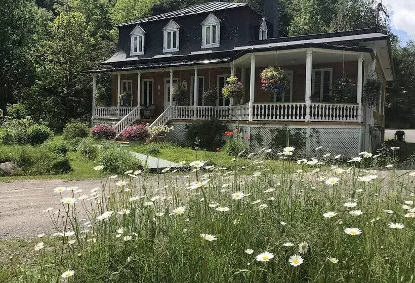 ホテル Auberge Du Sault à La Puce