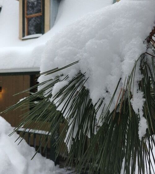 Hotel Auberge Le Cosy