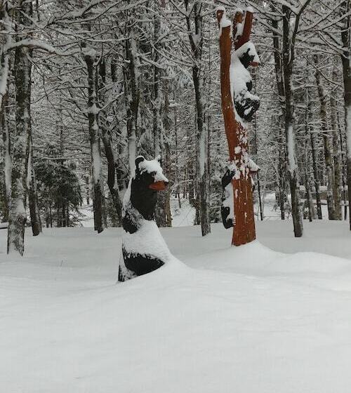 Hotel Auberge Le Cosy