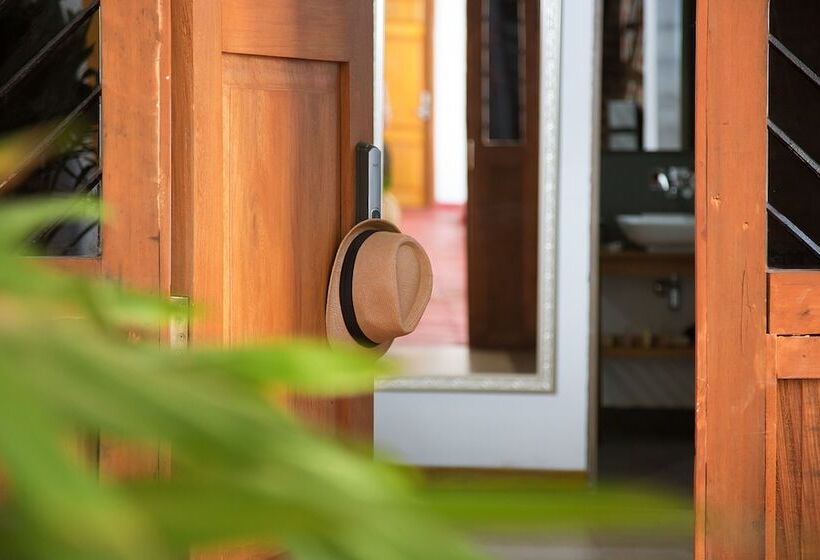 هتل Boutique Casa Carolina