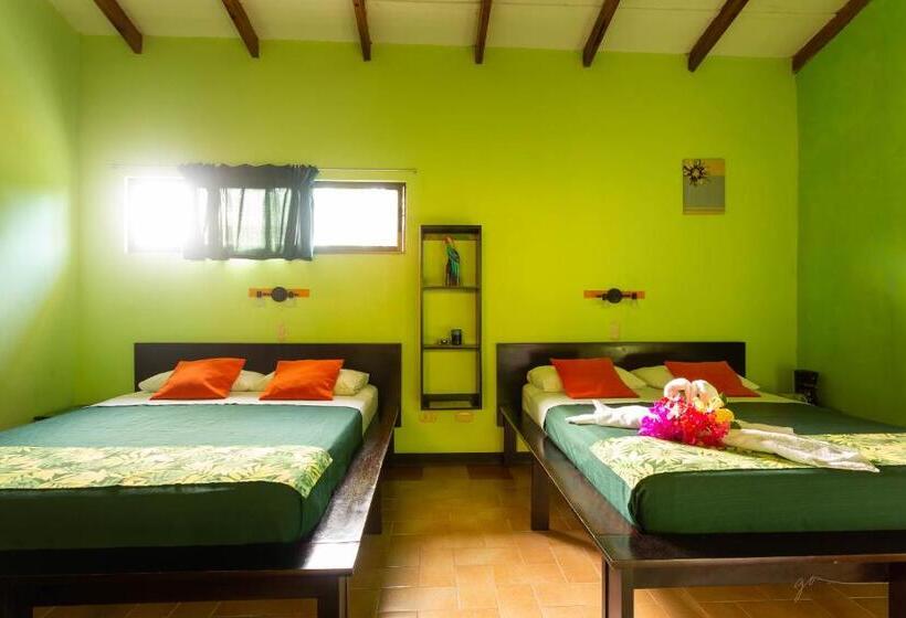 هتل Boutique La Casa De Las Flores