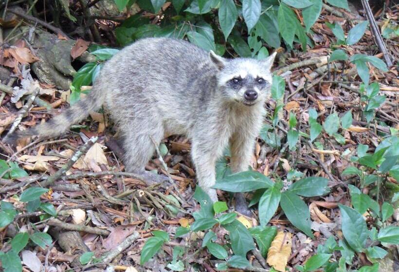 هتل Boutique La Casa De Las Flores