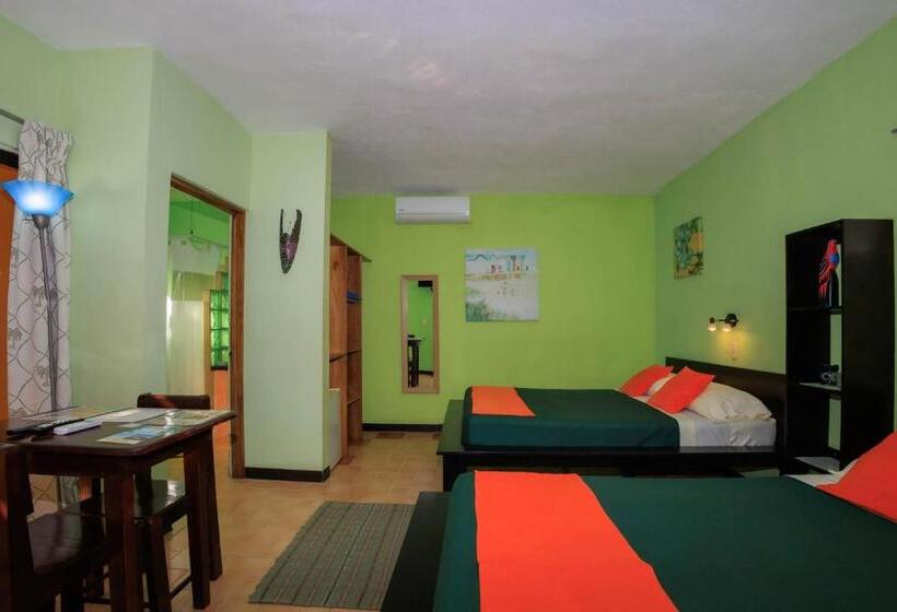 هتل Boutique La Casa De Las Flores