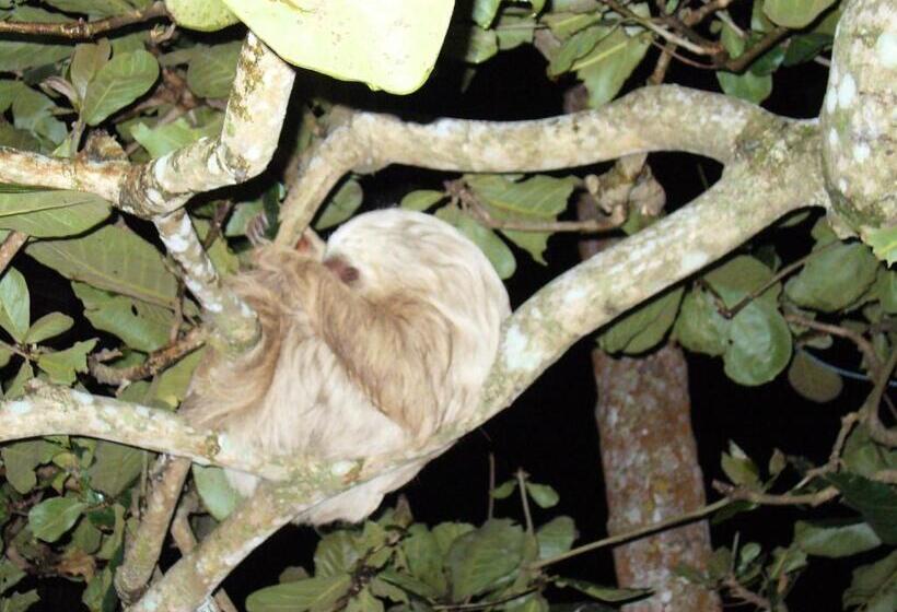 هتل Boutique La Casa De Las Flores