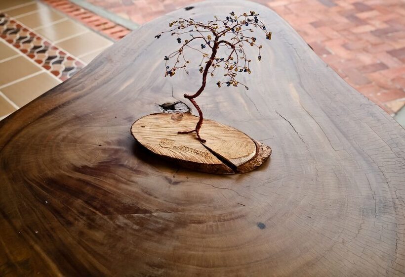 בית מלון כפרי Boutique Villas De San Sebastián